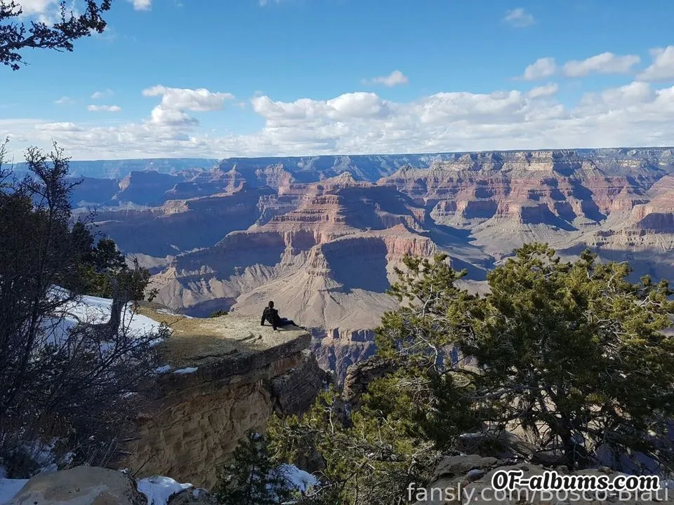 Image #2 of bosco-biati