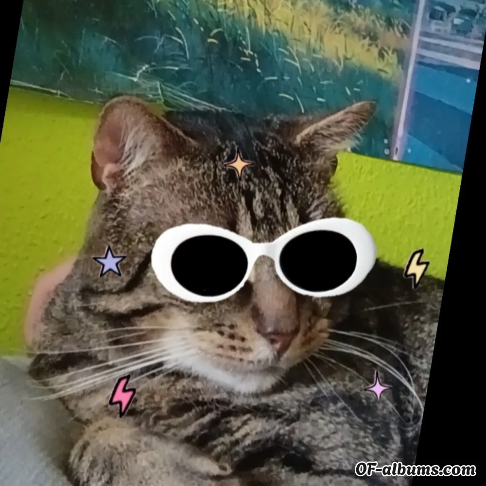 Image #3 of bratboii