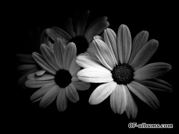Image #2 of breannalynn94