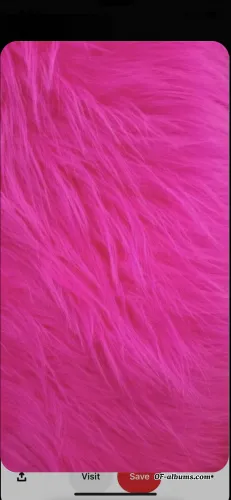 Image #6 of brianne