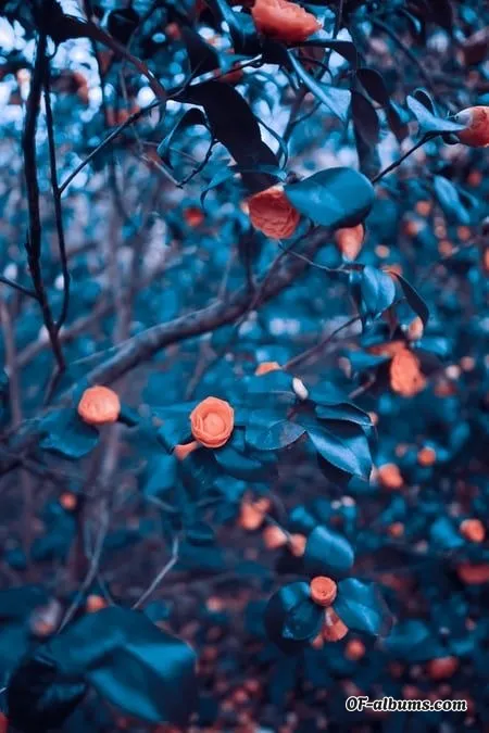 Image #2 of brittaneythebasicwitch