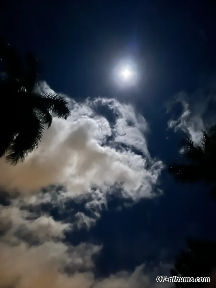 Image #2 of bubblesdeep