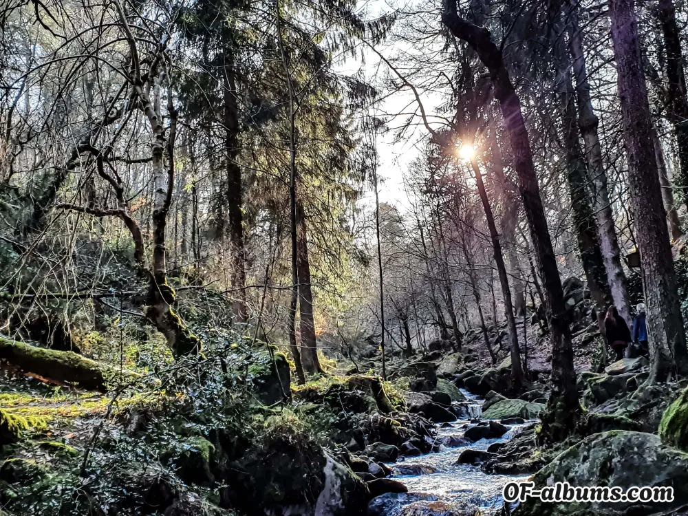 Image #2 of budandhedonism