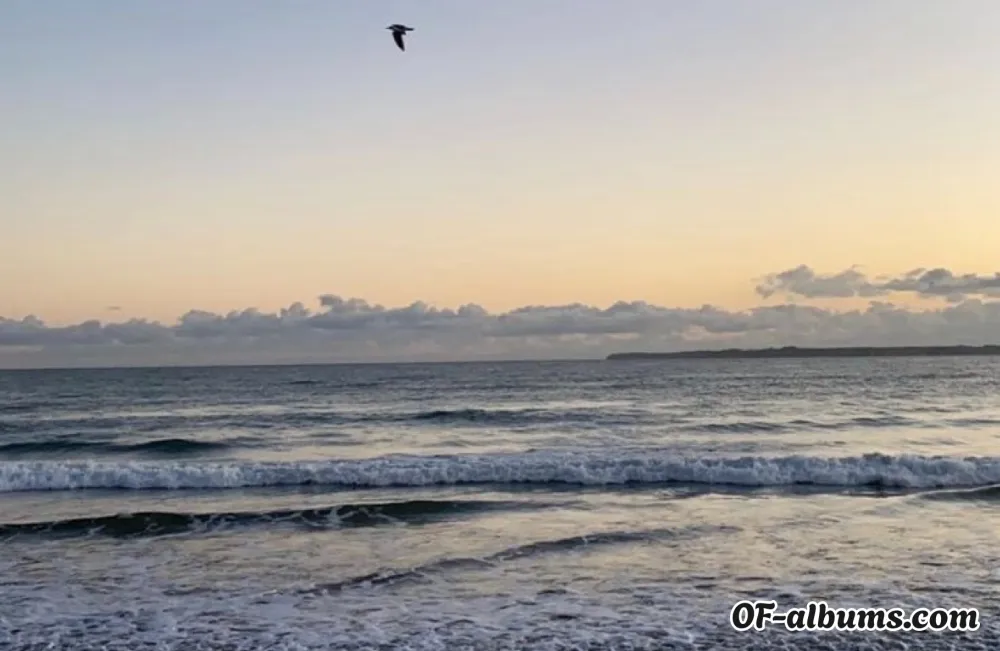 Image #2 of byisabella