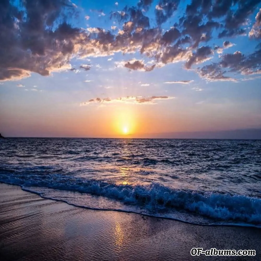 Image #2 of caliguy16