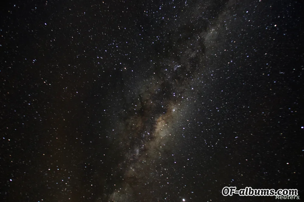 Image #2 of callistoelara