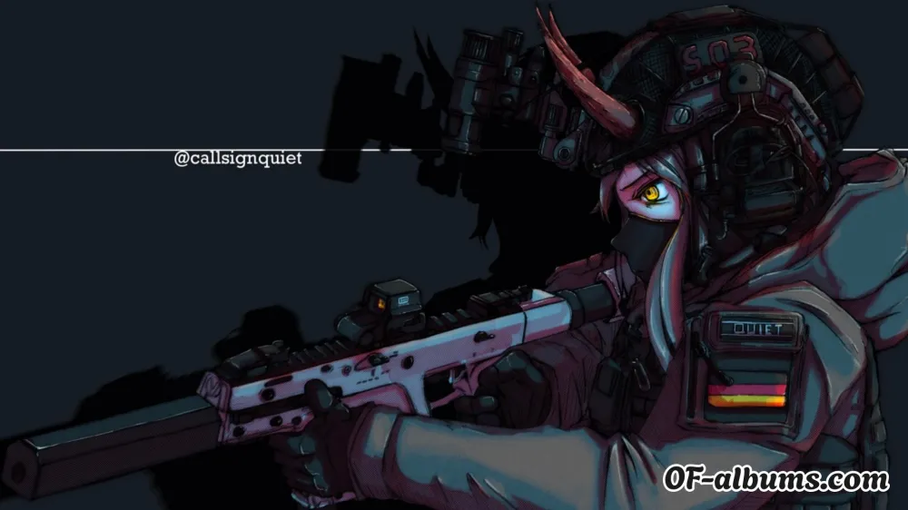 Image #2 of callsignquiet