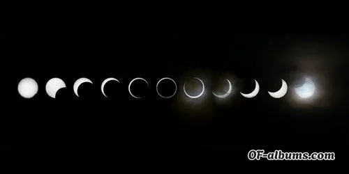 Image #2 of canna.bby