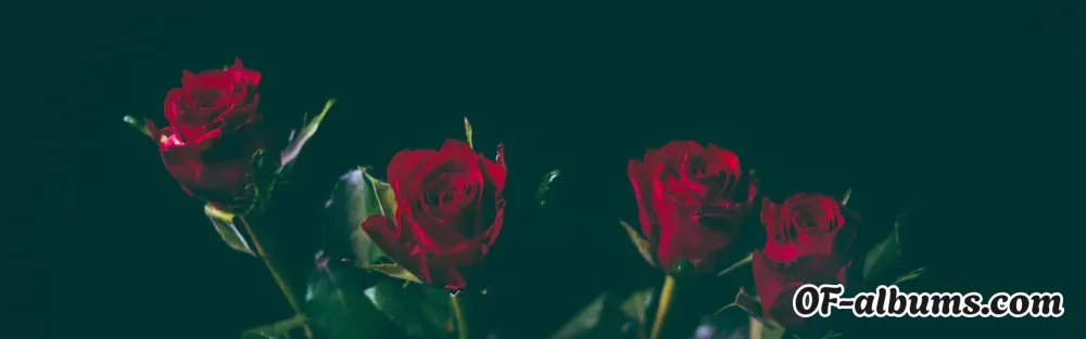 Image #2 of cannabiswitch