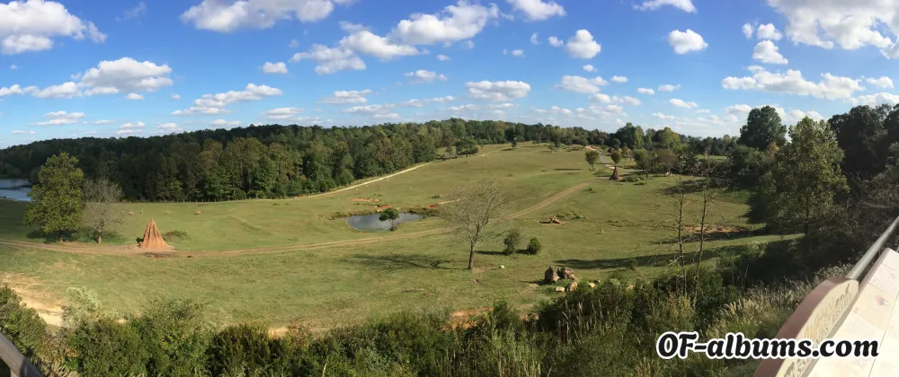 Image #2 of captaincoppafeel