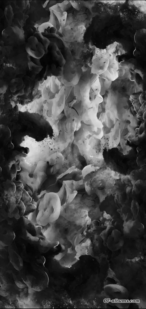 Image #2 of caramelo505