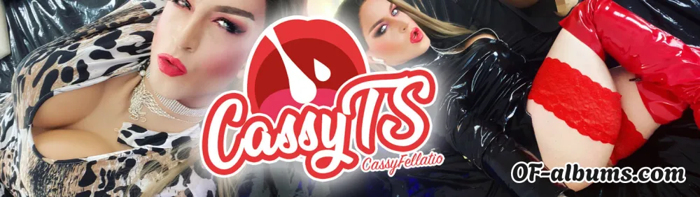Image #2 of cassy-ts-free