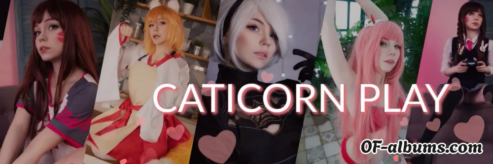 Image #4 of caticornplay