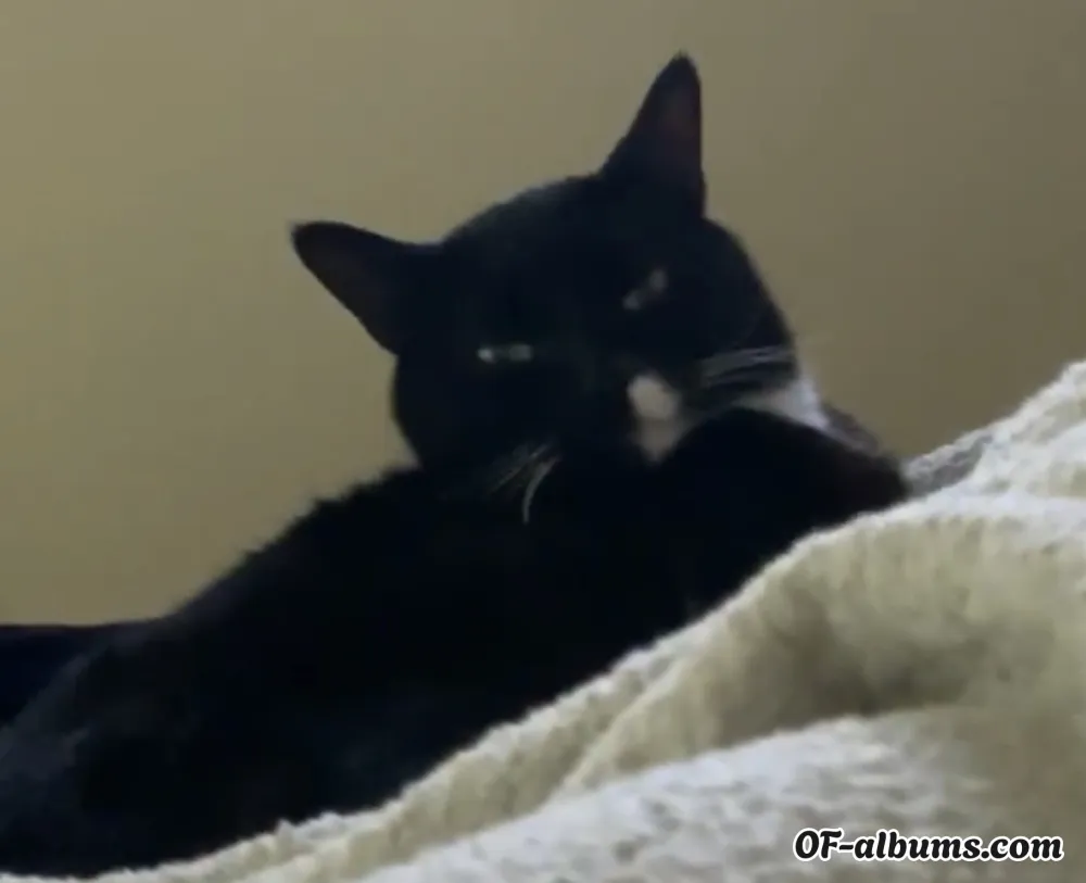 Image #2 of chase_xxx