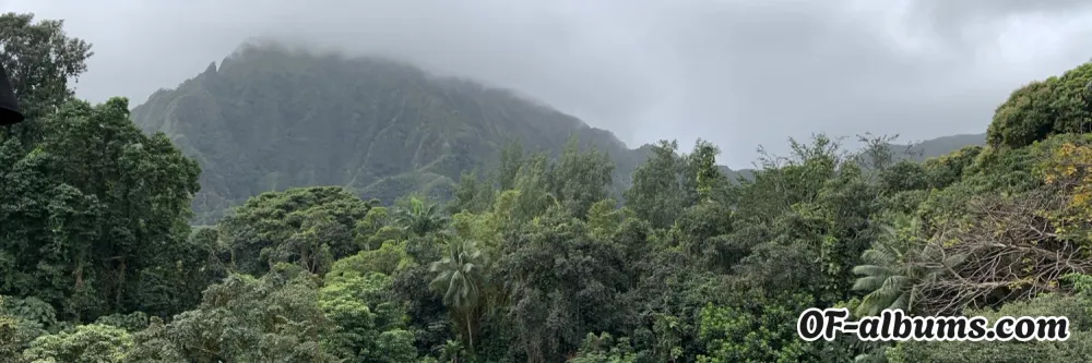 Image #2 of chicken_is_g00d