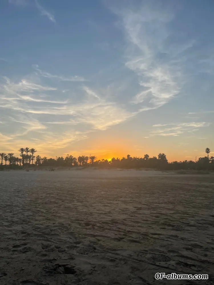 Image #2 of chloesscott