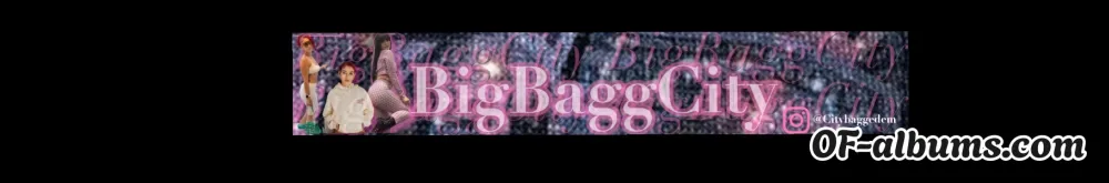 Image #2 of citybaggedemm