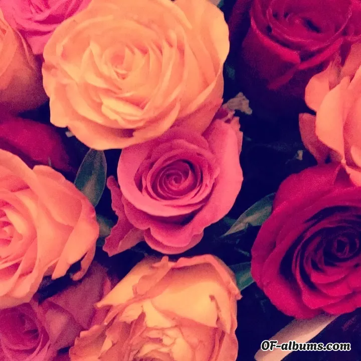 Image #2 of clovermejaye