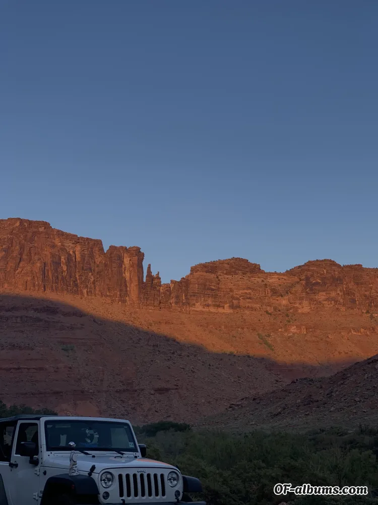 Image #2 of cognitivecunt