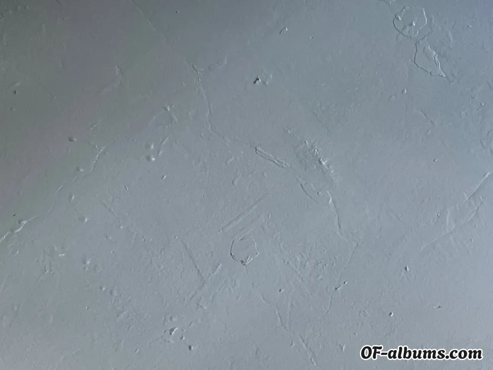 Image #2 of concchita