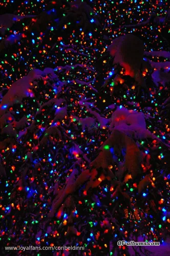 Image #4 of coribeldinni