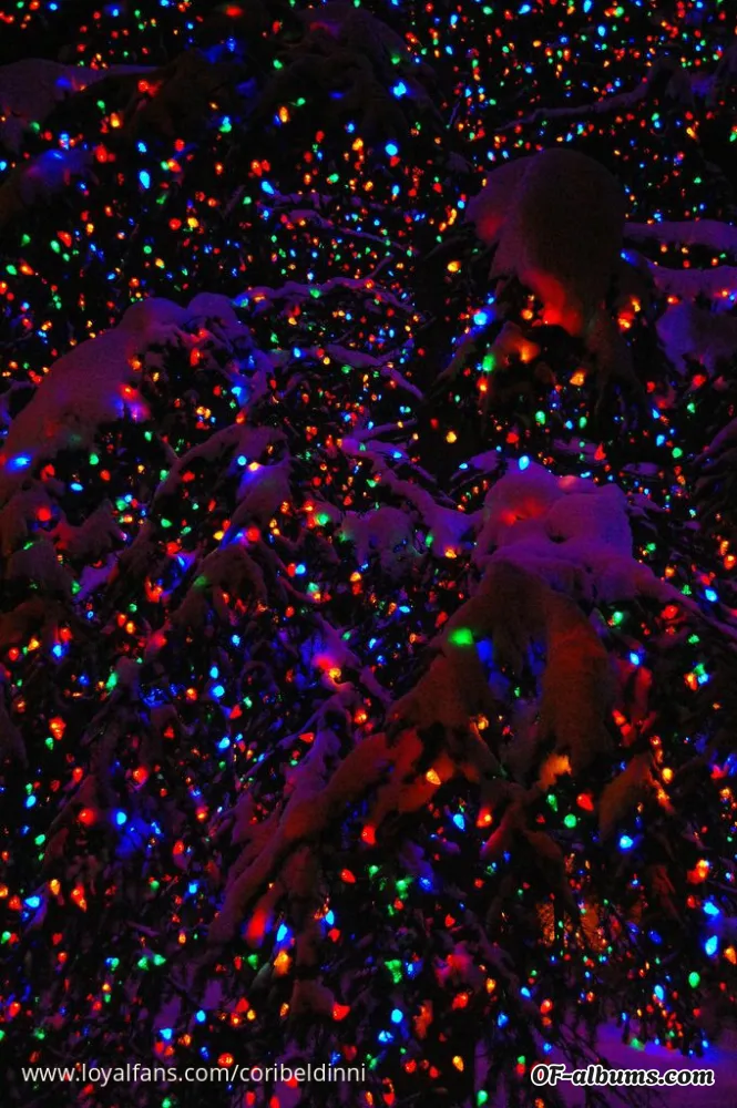 Image #2 of coribeldinni