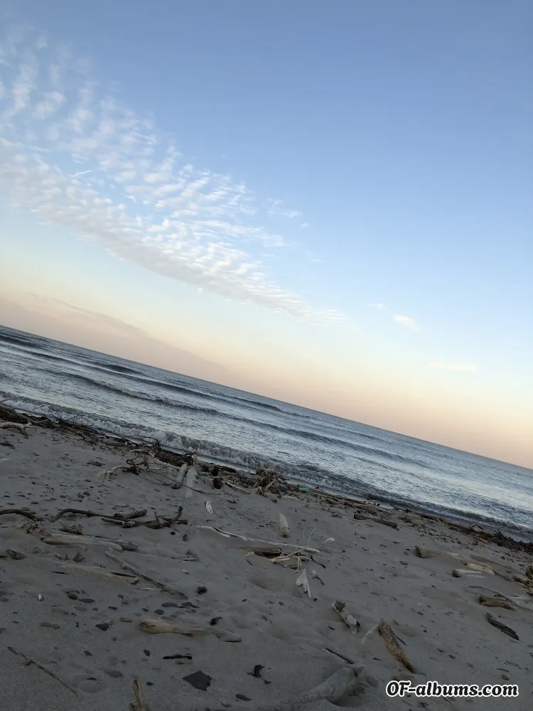 Image #2 of cougarb73