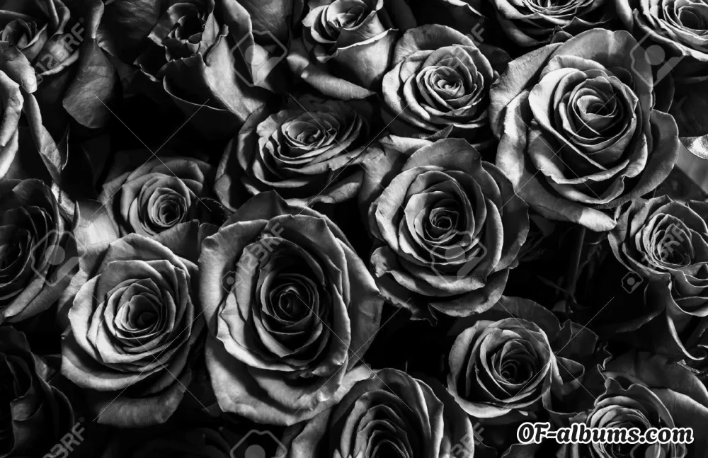 Image #2 of coventry