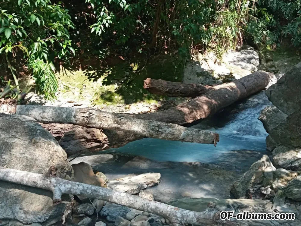 Image #2 of cris970115