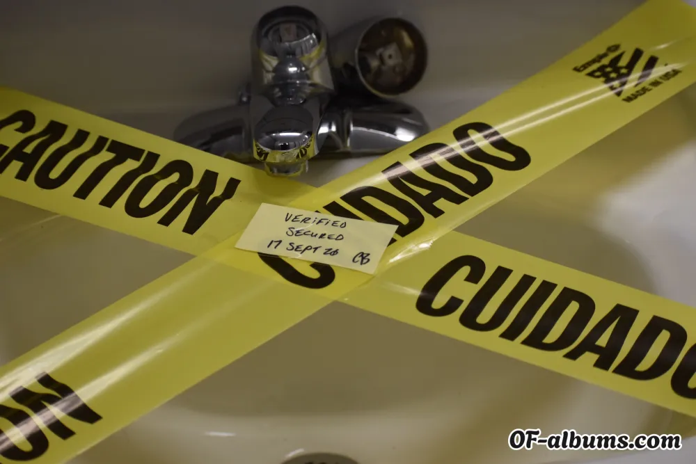 Image #2 of curry_priest