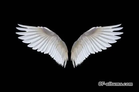 Image #2 of curved_angel