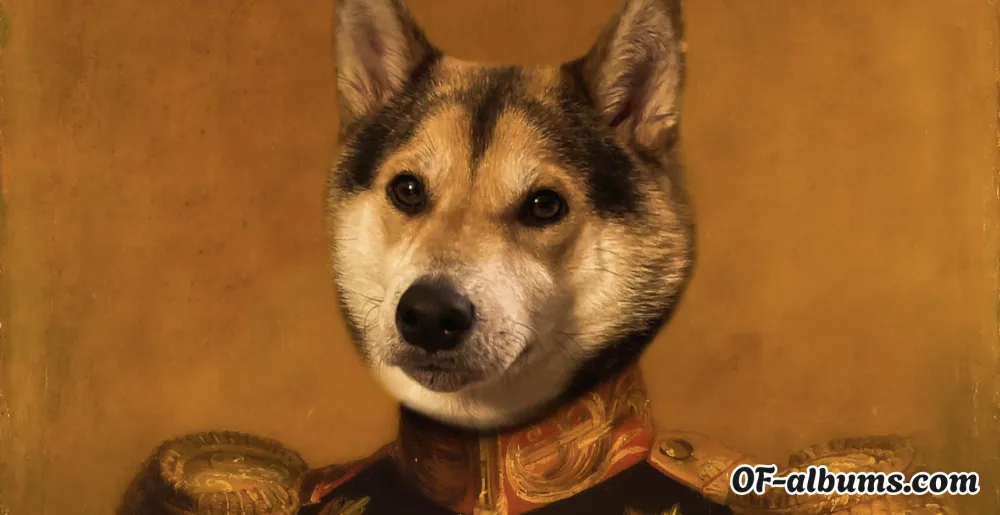 Image #2 of d0lldaddy