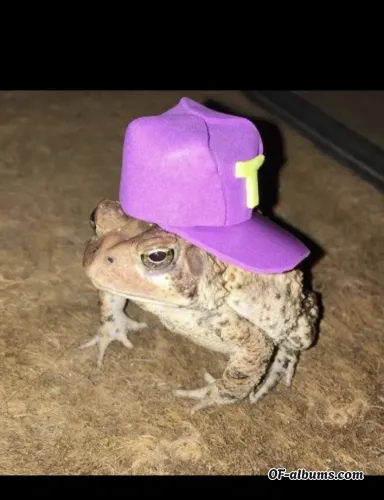 Image #4 of daddiesgirl69