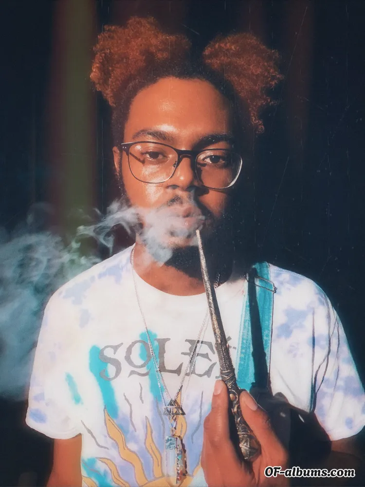 Image #2 of damuwindoze