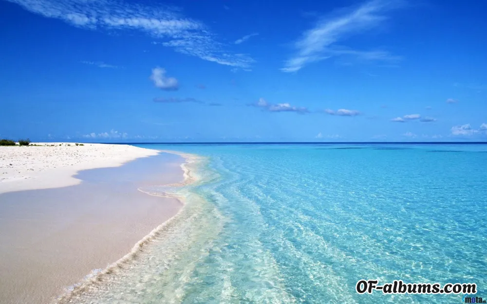 Image #4 of dariadaria