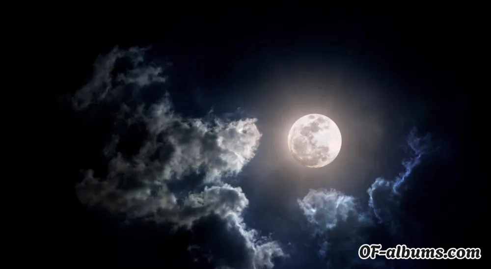 Image #2 of darkdivinefem22
