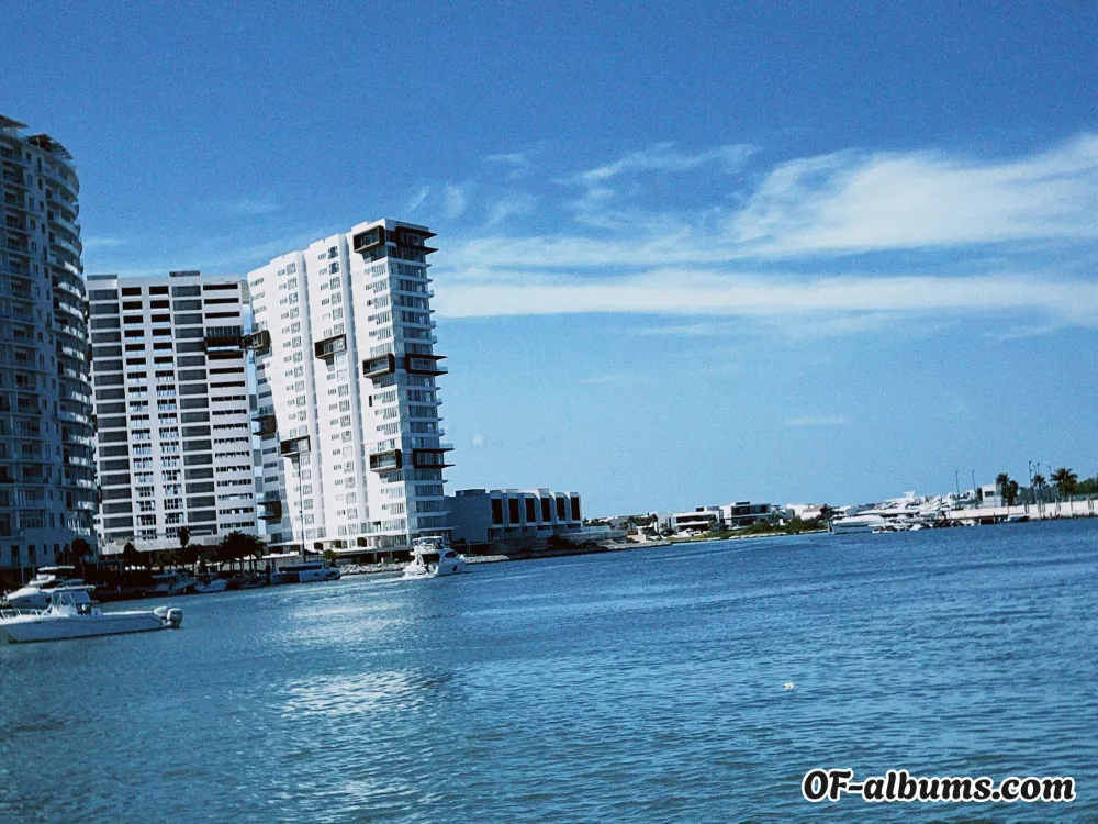 Image #2 of dayanaareyna