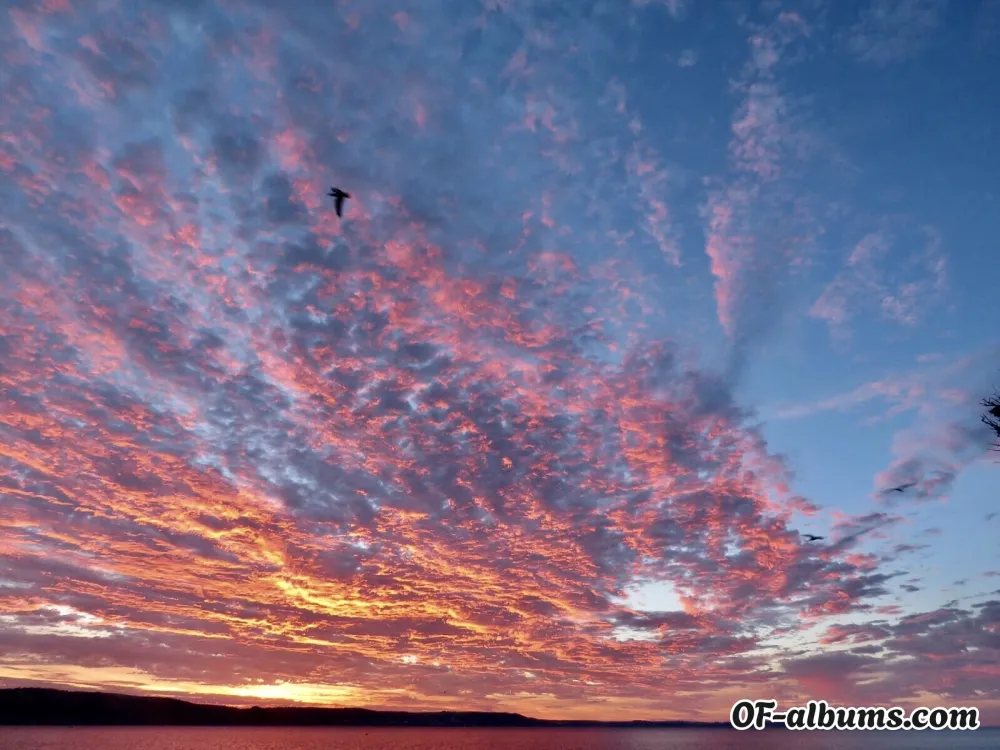 Image #2 of dhallxox