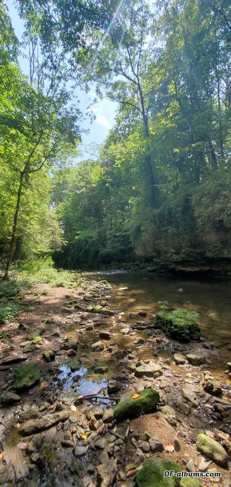 Image #2 of dieselguy10