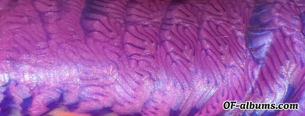 Image #2 of dirtybitsaudio