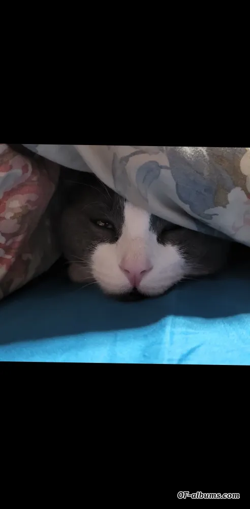 Image #3 of dreamsofash