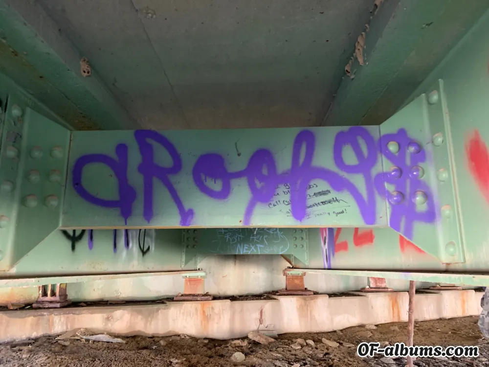 Image #2 of drooly666