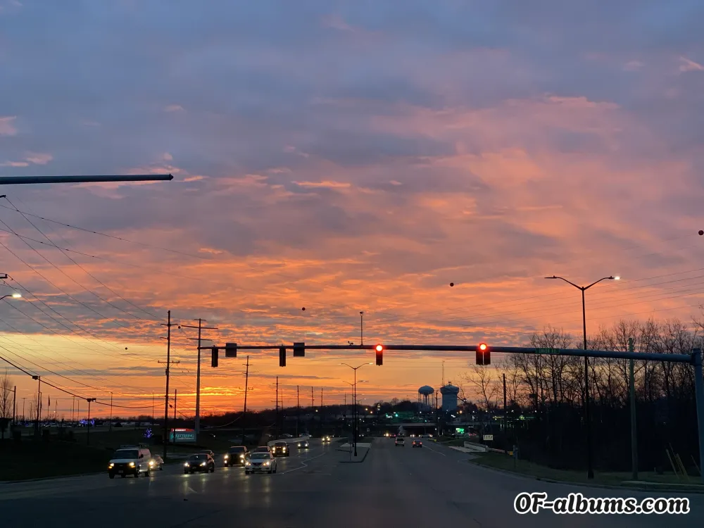 Image #2 of elehadley