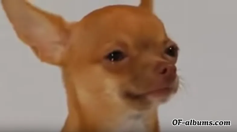 Image #2 of elyshuri