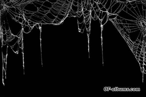 Image #3 of emptyxngel