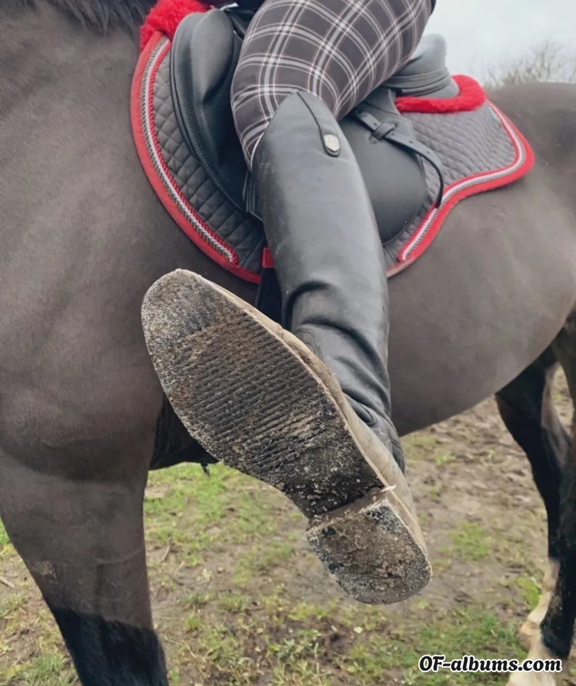 Image #5 of equinegoddessk