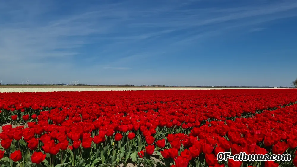 Image #2 of evemoon12