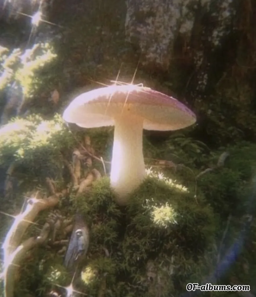 Image #4 of fairygothwitch