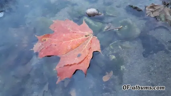 Image #2 of fatalinjury