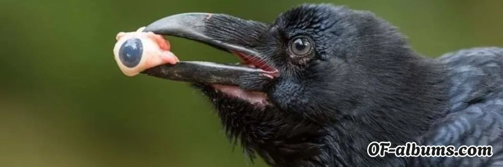 Image #2 of femalien